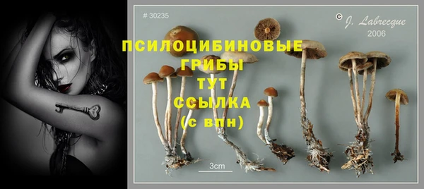PSILOCYBIN Лихославль