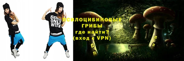 PSILOCYBIN Лихославль