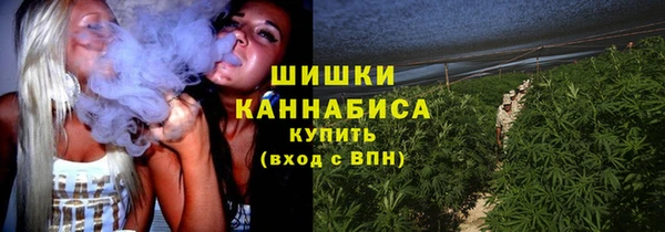 эйфоретик Майский