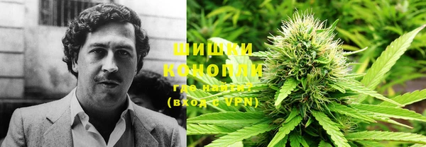 эйфоретик Липки