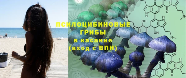 эйфоретик Липки