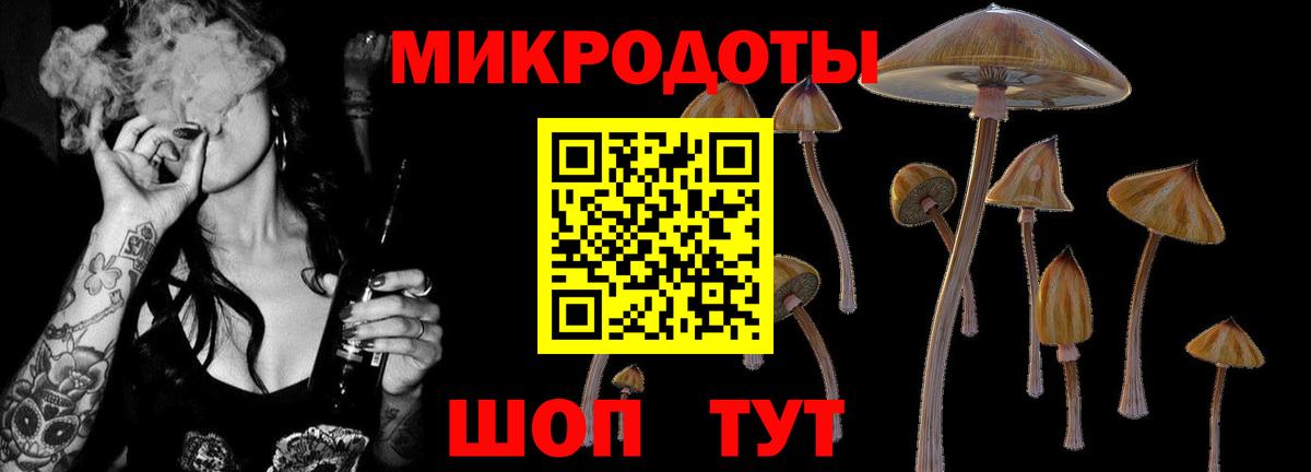 Псков  Галлюциногенные грибы Psilocybine cubensis  Псилоцибиновые грибы Magic Shrooms  Вход с VPN 