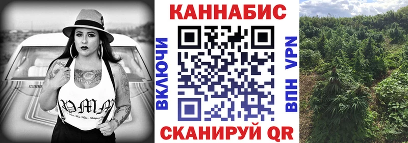 где найти   Псков  Канабис тримм 